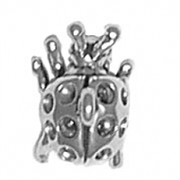 Sterling Silver Charm-Ladybug