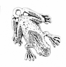 Sterling Silver Charm-Frog