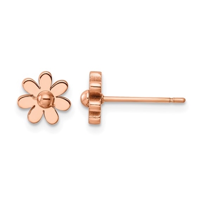 Stainless Steel  Post  Earrings