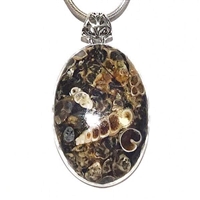 Sterling Silver Pendant/Necklace-Turtella Jasper