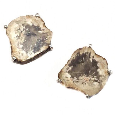 Sterling Silver Post Earrings- Petrified Wood