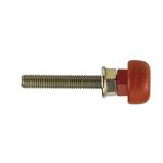 PLASTIC HEAD SCREW M10X60mm