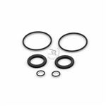 KIT GASKETS FOR 2X2 EVO REAR CALIPERS
