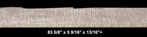 Curly Maple - 83 5/8" x 5 9/16" x 13/16"+ - $50.00