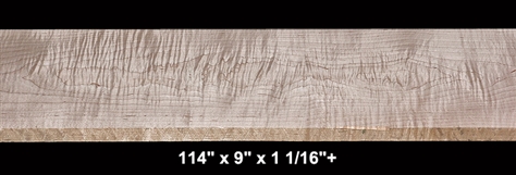 Curly Maple - 114" x 9" x 1 1/16"+ - $120.00