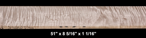 Curly Maple - 51" x 8 5/16" x 1 1/16" - $65.00