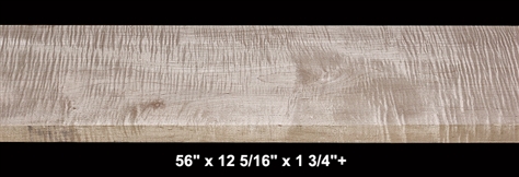 Extra-Wide Curly Maple - 56" x 12 5/16" x 1 3/4"+ - $135.00