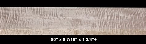 Curly Maple - 80" x 8 7/16" x 1 3/4"+ - $95.00