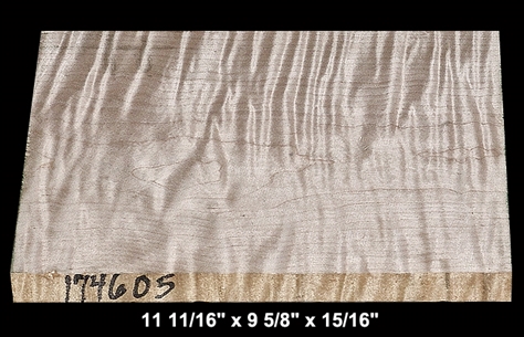 Curly Maple - 11 11/16" x 9 5/8" x 15/16" - $12.00