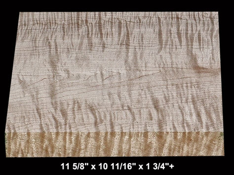 Wide Curly Maple - 11 5/8" x 10 11/16" x 1 3/4"+ - $22.00
