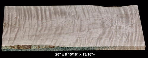 Curly Maple - 20" x 8 15/16" x 13/16"+ - $21.00