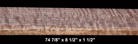 Curly Black Walnut - 74 7/8" x 8 1/2" x 1 1/2" - $170.00