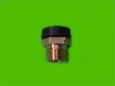 Plunger Fitting and Cap