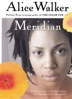 Meridian  by Alice Walker