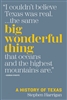 Big Wonderful Thing by Stephen Harrigan