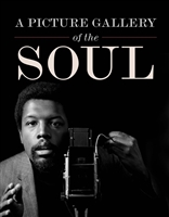 A Picture Gallery of the Soul by â€‹Howard Oransky