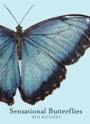 Sensational Butterflies by Ben Rothery