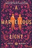 Marvellous Light by â€‹Freya Marske