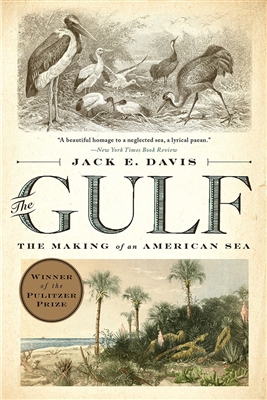 The Gulf Jack E Davis