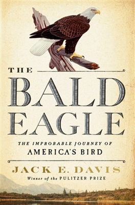 The Bald Eagle by Jack E. Davis