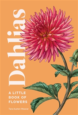 Dahlias by Tara Austen Weaver