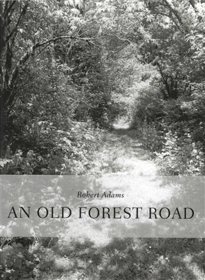 An Old Forest Road by Robert Adams