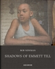 Shadows of Emmett Till