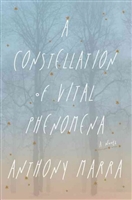 A Constellation of Vital Phenomena