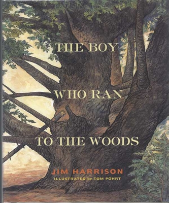 The Boy Who Ran To The Woods