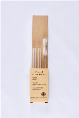 Enviro Straw, Glass Regular Straw (width 9.5mm), 6", Straight Combo