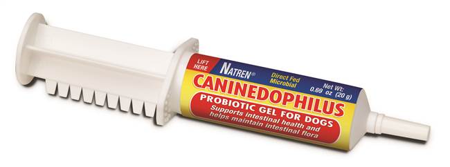 Natren CanineDophilus for Dogs, 20ml