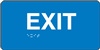 Exit - Braille Sign | HCL Labels, Inc