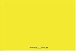 Blank (Write-In)