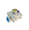 Gas Regulator, 3/4" Convertible Nat-LP - RV48CL-42 by Dormont.