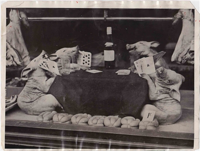 Pigs Playing Poker