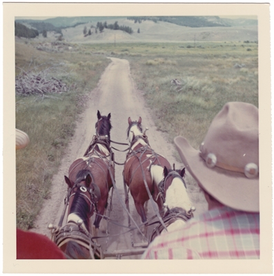 Horse and Buggy