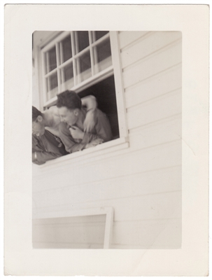 Window