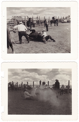 Rodeo