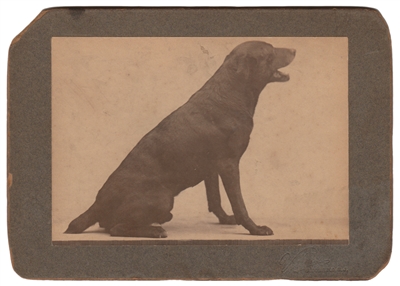 Antique Dog