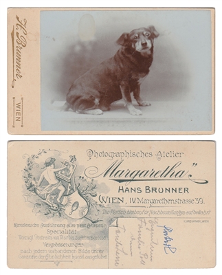 Dog Carte de Visite