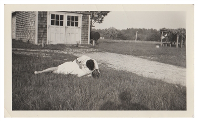 Splendor in the Grass