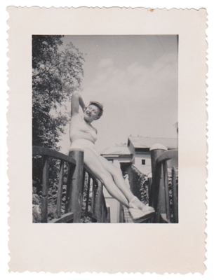 Fence Sitter