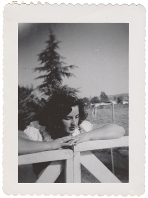Fence