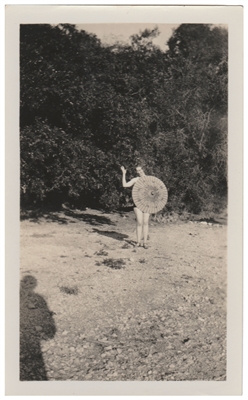 Parasol Wave