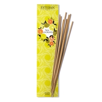 NIPPON KODO | ESTEBAN - TERRE D'AGRUMES - Bamboo Stick Incense