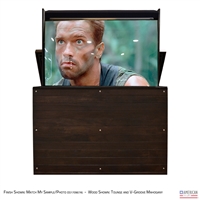 65" TV Lift Cabinet - Modern Ironside Outdoor (SC)