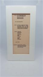 D.S. & Cowboy Grass Atlantic Eau De Parfum Spray For Men & Women 3.4 oz