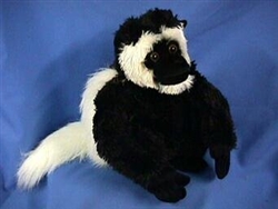 Colobus Monkey