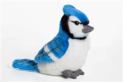 Blue Jay 7"H