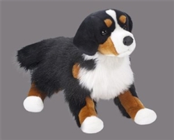 Douglas Alps Bernese Mountain Dog